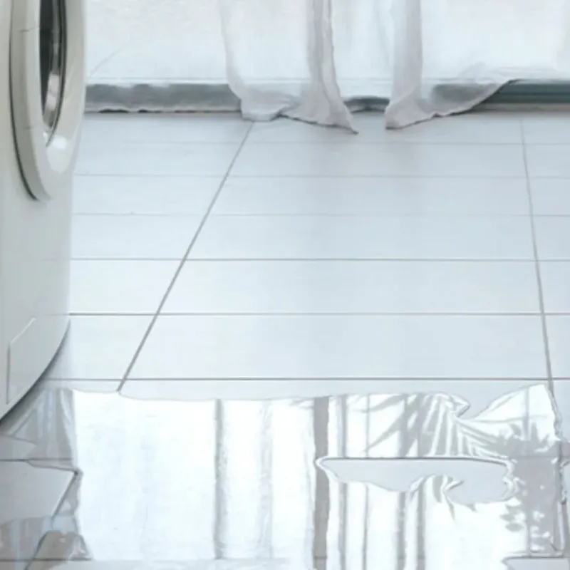 Appliance Leak Cleanup in West Town, IL