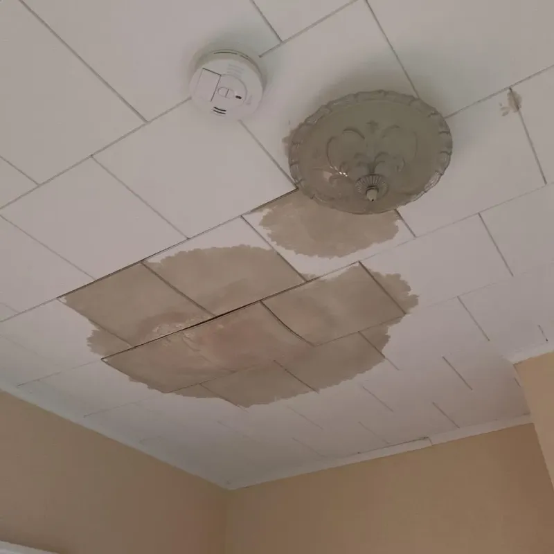 Ceiling Water Damage Repair in West Town, IL