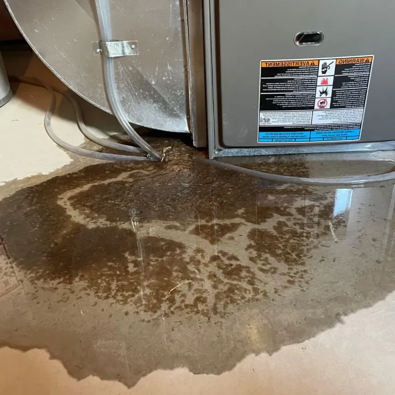 Pipe Burst and Leak Restoration in West Town, IL