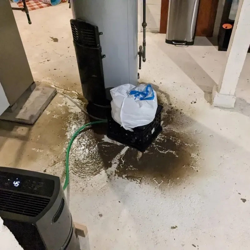Sewage Backup Cleanup Service in West Town, IL